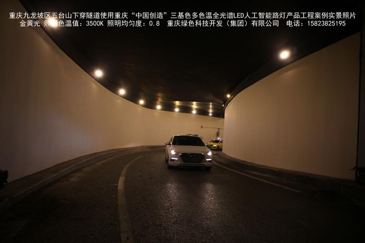 三基色多色温全光谱led人工智能路灯产品工程案例 室外绿色照明节能