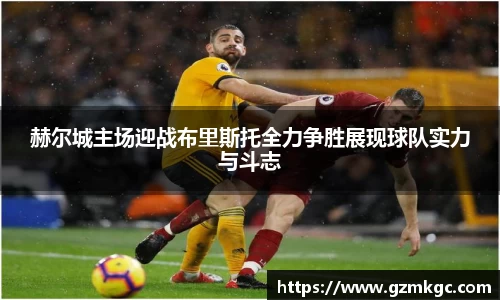 赫尔城主场迎战布里斯托全力争胜展现球队实力与斗志