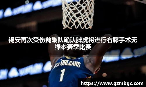 锡安再次受伤鹈鹕队确认胖虎将进行右膝手术无缘本赛季比赛